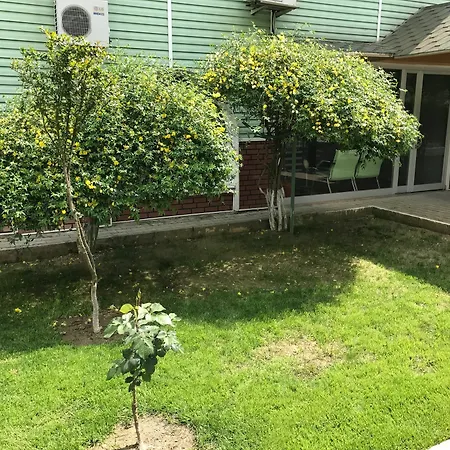 Kisikpet מלון Gaziemir