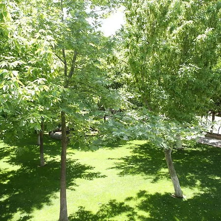 Kisikpet 4* Gaziemir